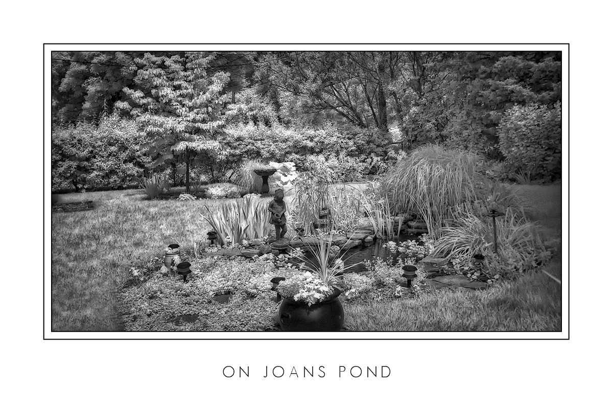 On Joans Pond