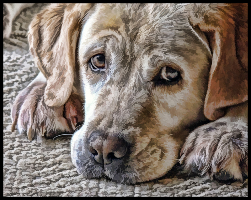 Jesse Photoart.jpg