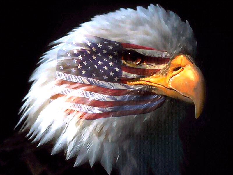 Eagles Up.jpg
