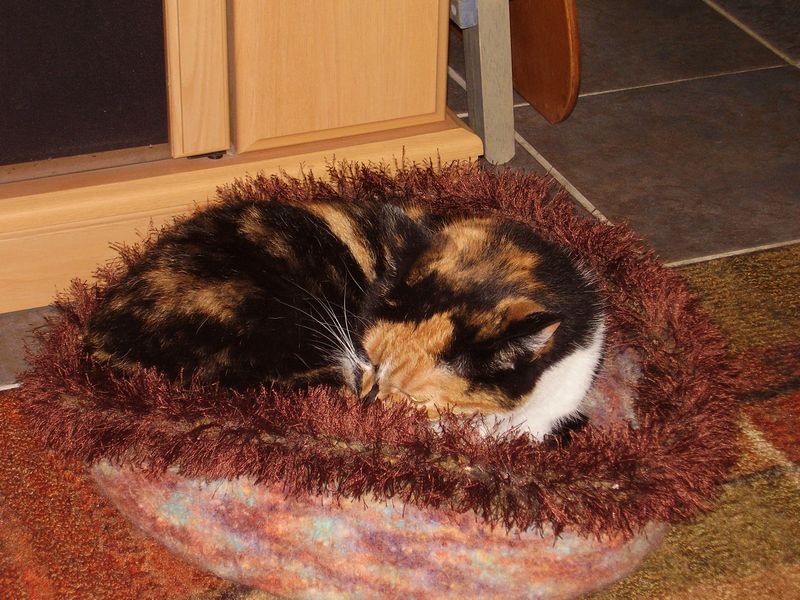 HEY!!  Joanie knit me a BED!!  Im really glad I came here.