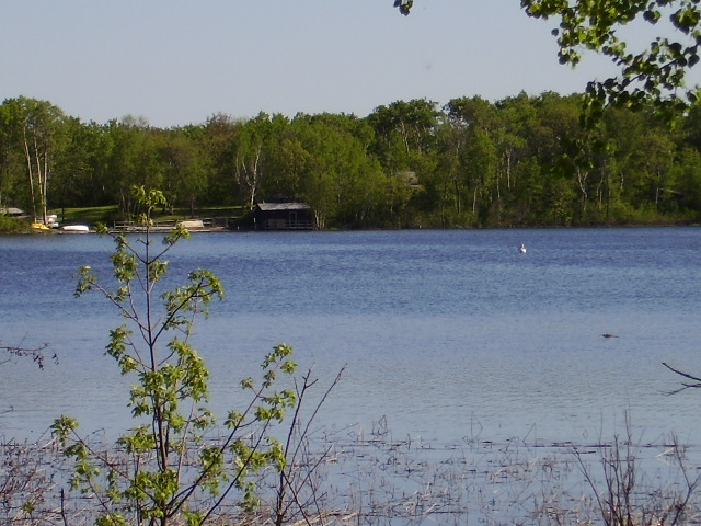 The youth camp on Pelican Lake... NOTICE the pelican (center and right)... aptly named lake!