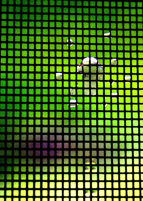 PhotoFriday - Circle (Connect the Dots)