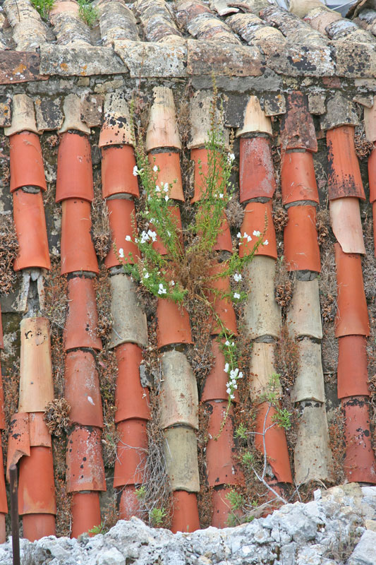 Old city roof