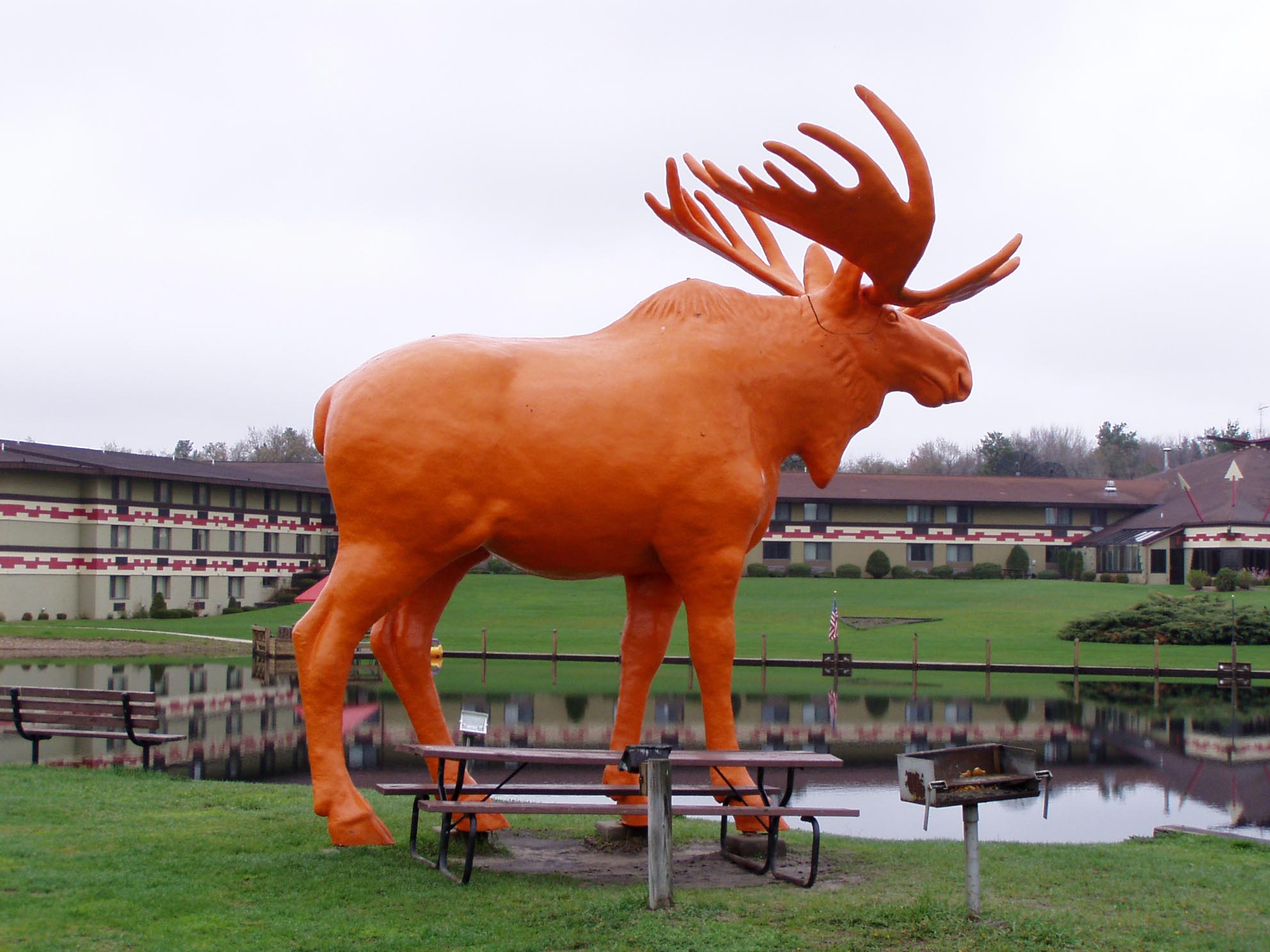Worlds Largest Orange Moose, Black River Falls WI.jpg
