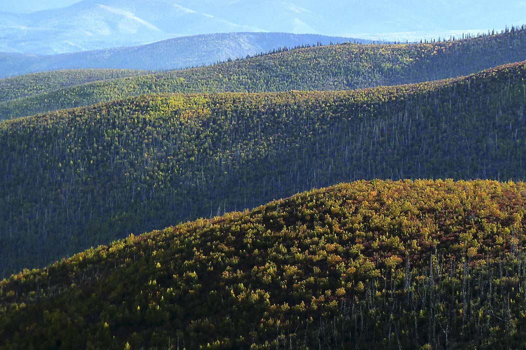 Sur le toit du monde / On the top of the world, Yukon