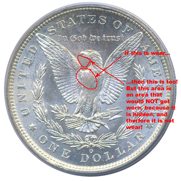 morgan reverse annotated.jpg
