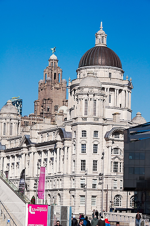 MDHB and Liver building