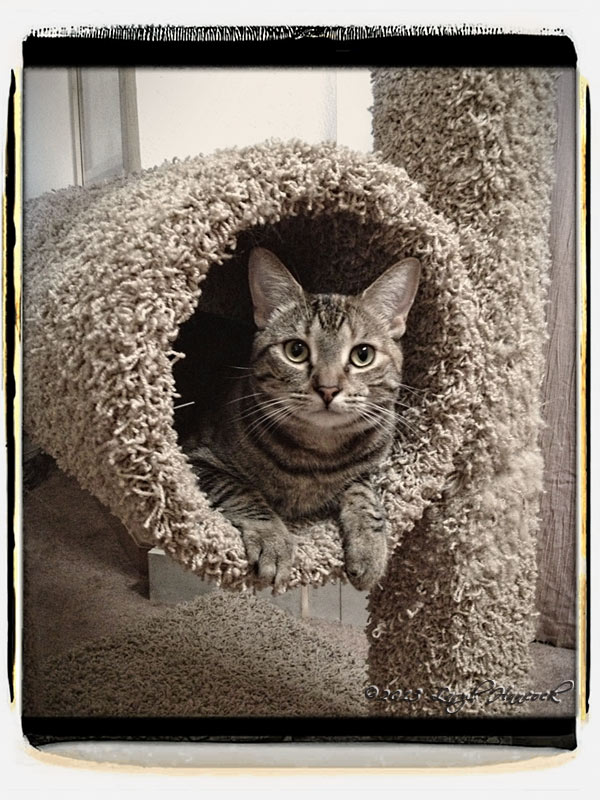 Charlie