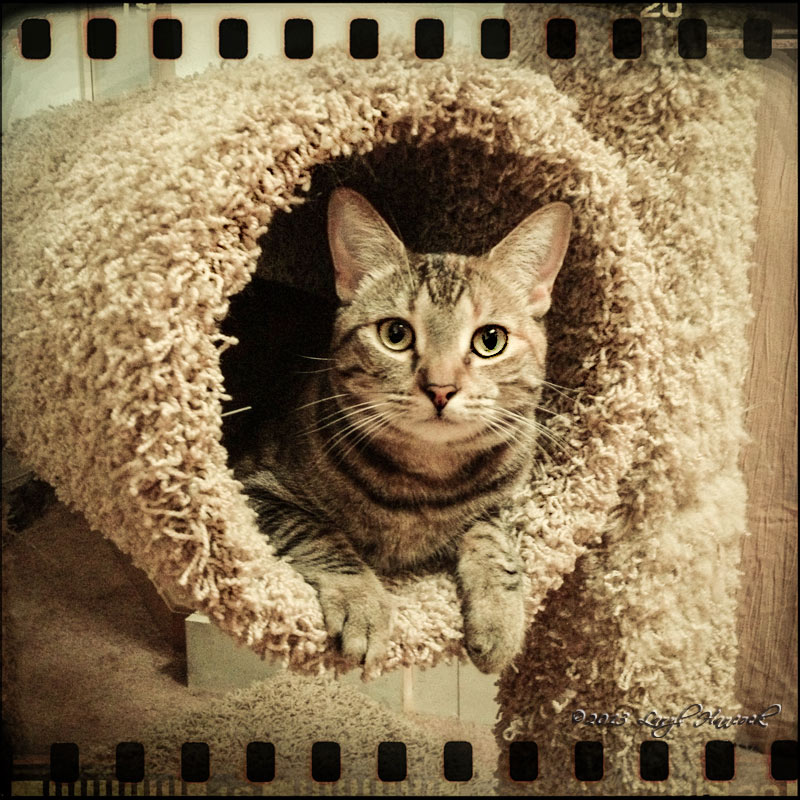 Charlie