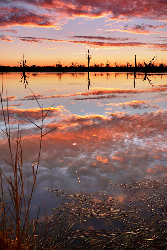 Paringa Sunset