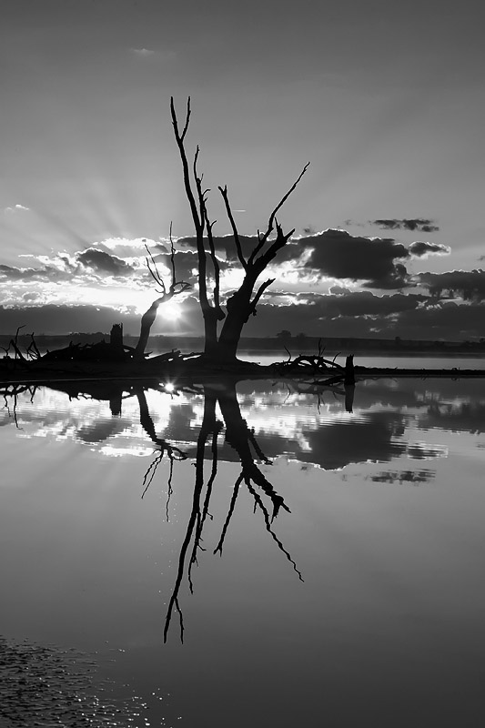 Lake Bonney Sunrise