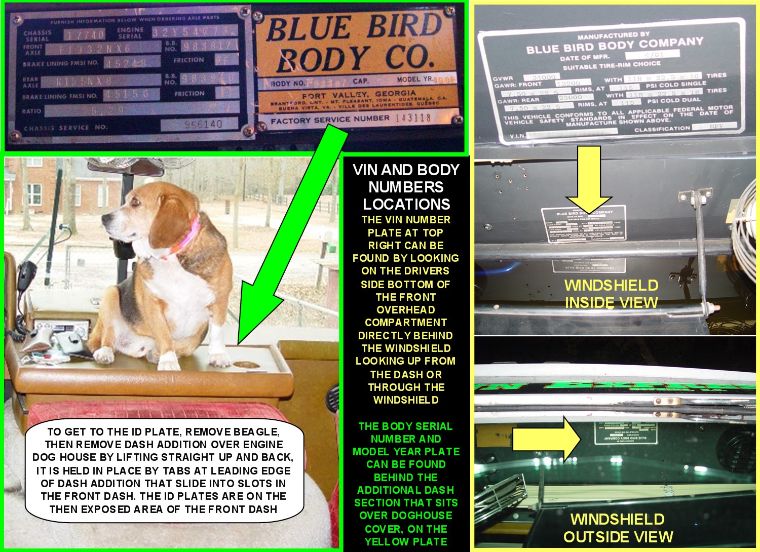 BODY AND SERIAL NUMBERS LOCATIONS.jpg