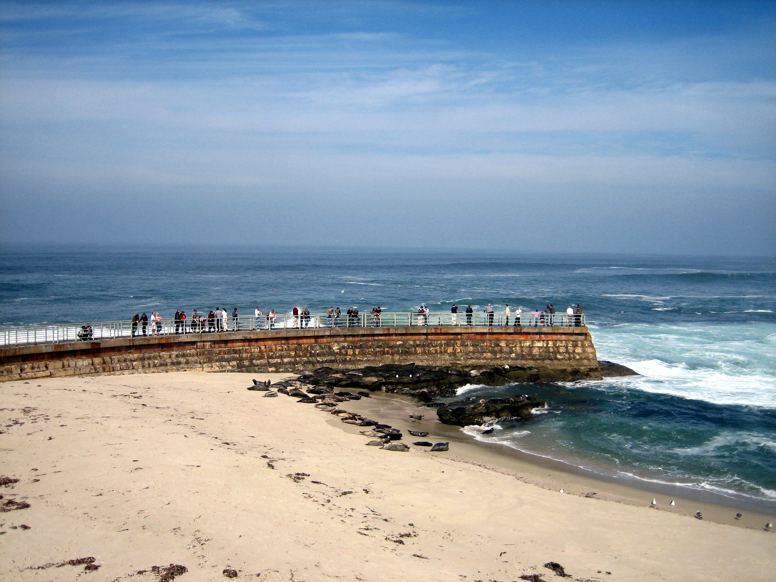 La Jolla (see the seals?)