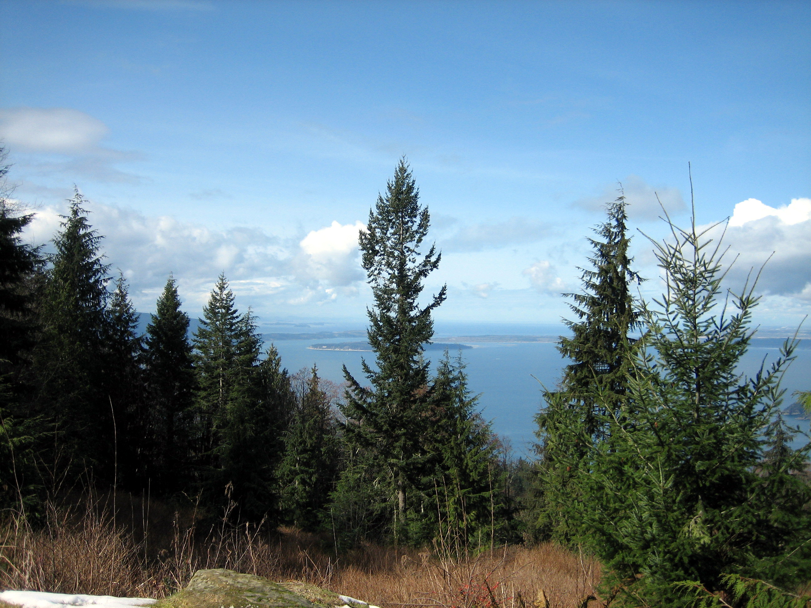 view from just above aid station 3/4