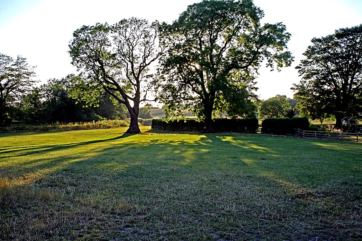 A beautiful summers evening in the country