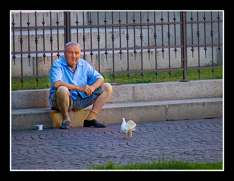 Pigeons Man