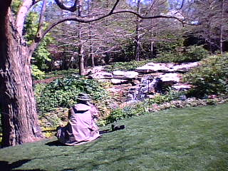 Barry shooting the waterfall.jpg