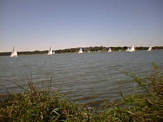 There was a sailboat race on White Rock Lake.jpg