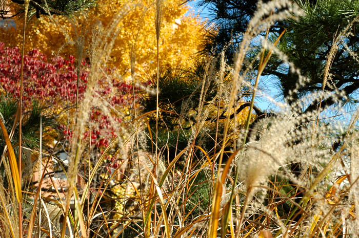 Autumn