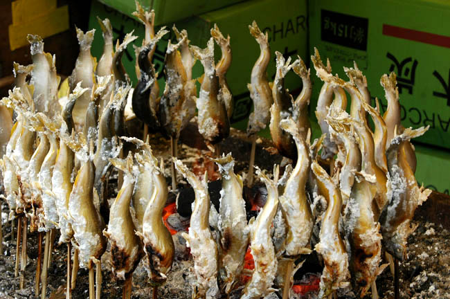 Ayu or Sweet Fish
