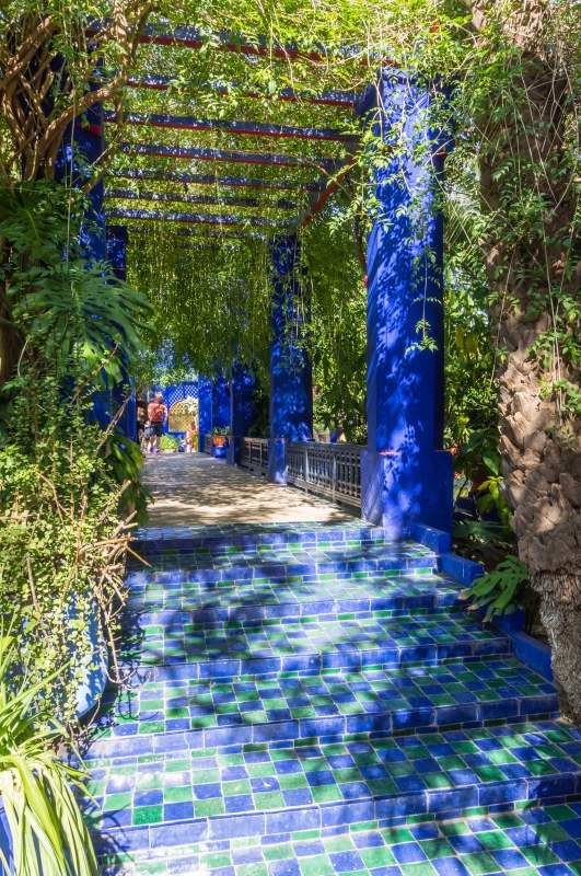 majorelle4-sk.JPG
