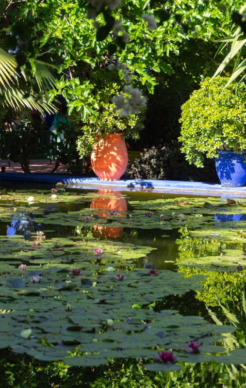 majorelle5-sk.JPG