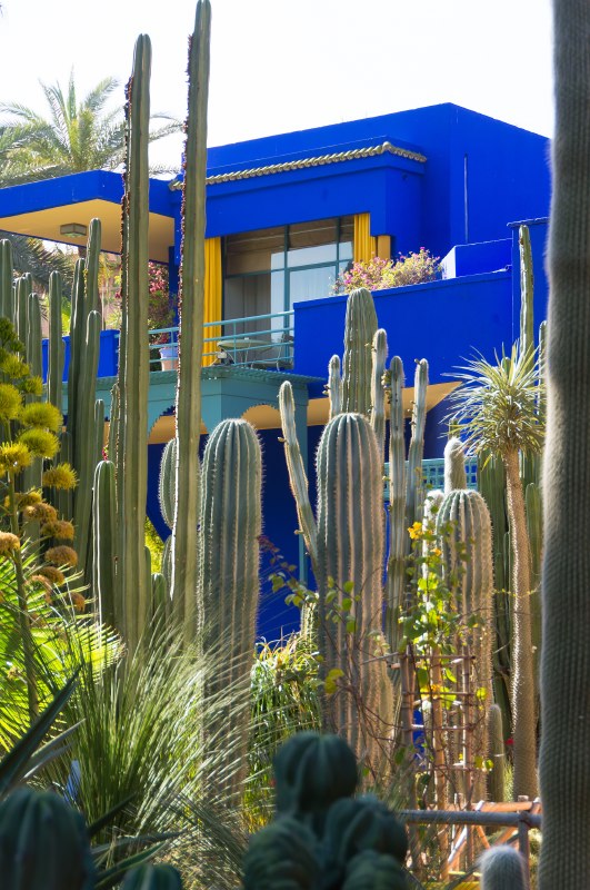 majorelle7-sk.JPG