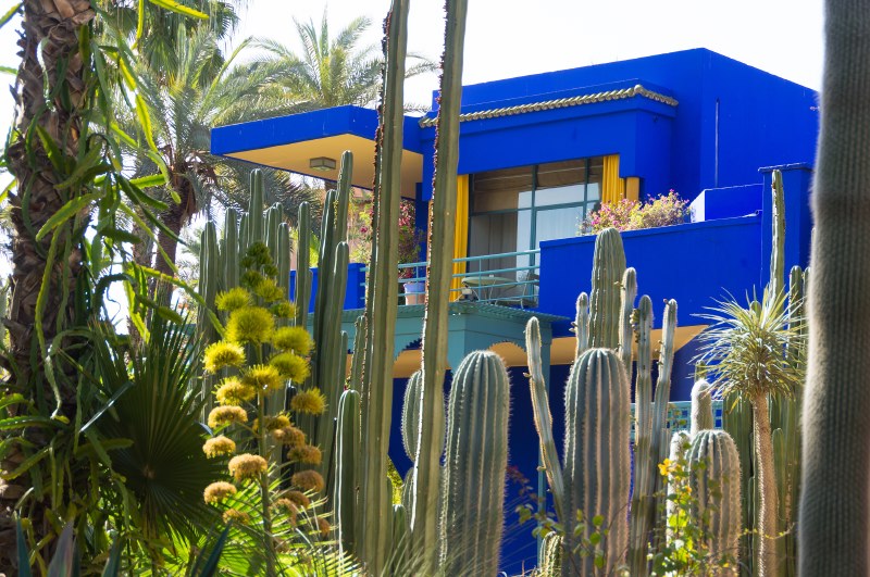 majorelle8-sk.JPG