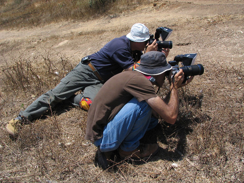 Israel and Allon.jpg