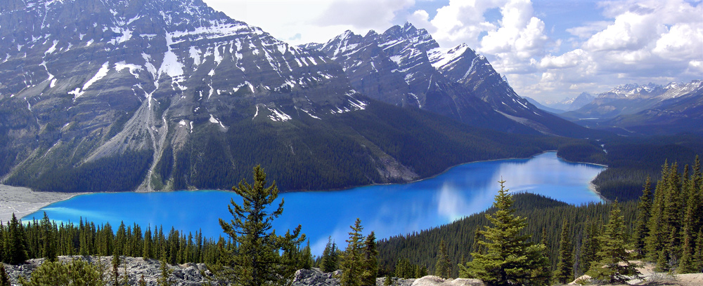 Peyto Lake