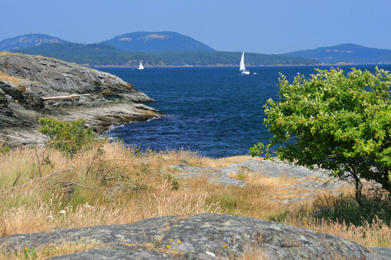 Beaver Point -  Ruckle Provincial Park