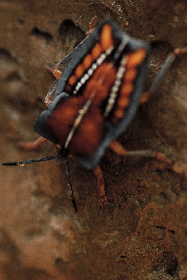 ABDN5759.jpg