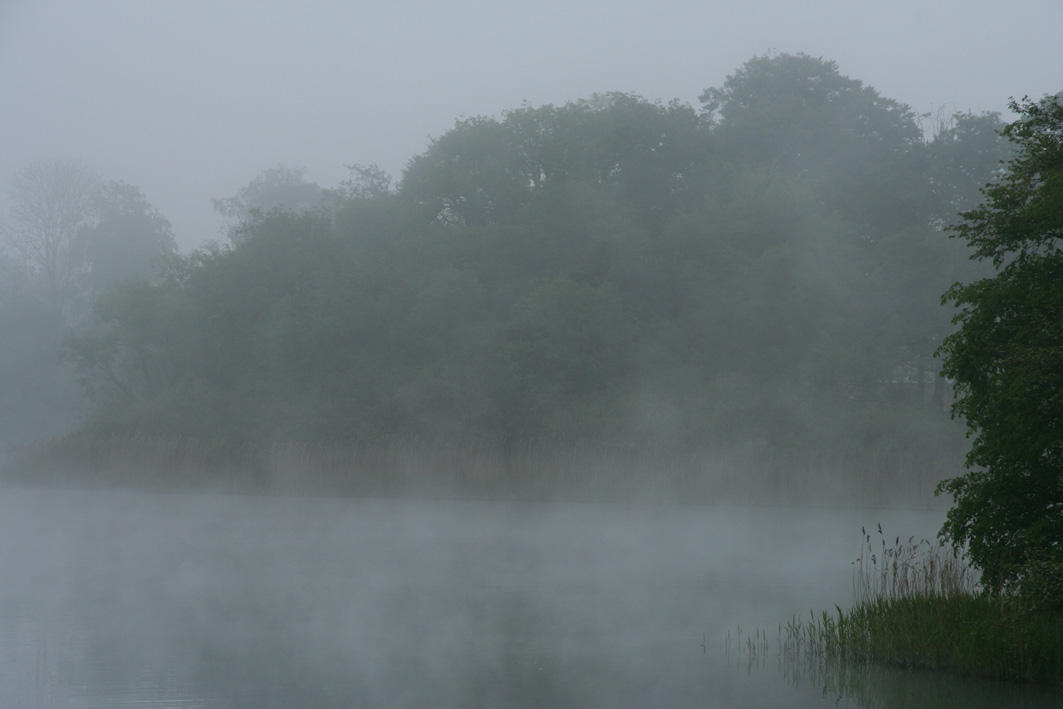 A misty morning