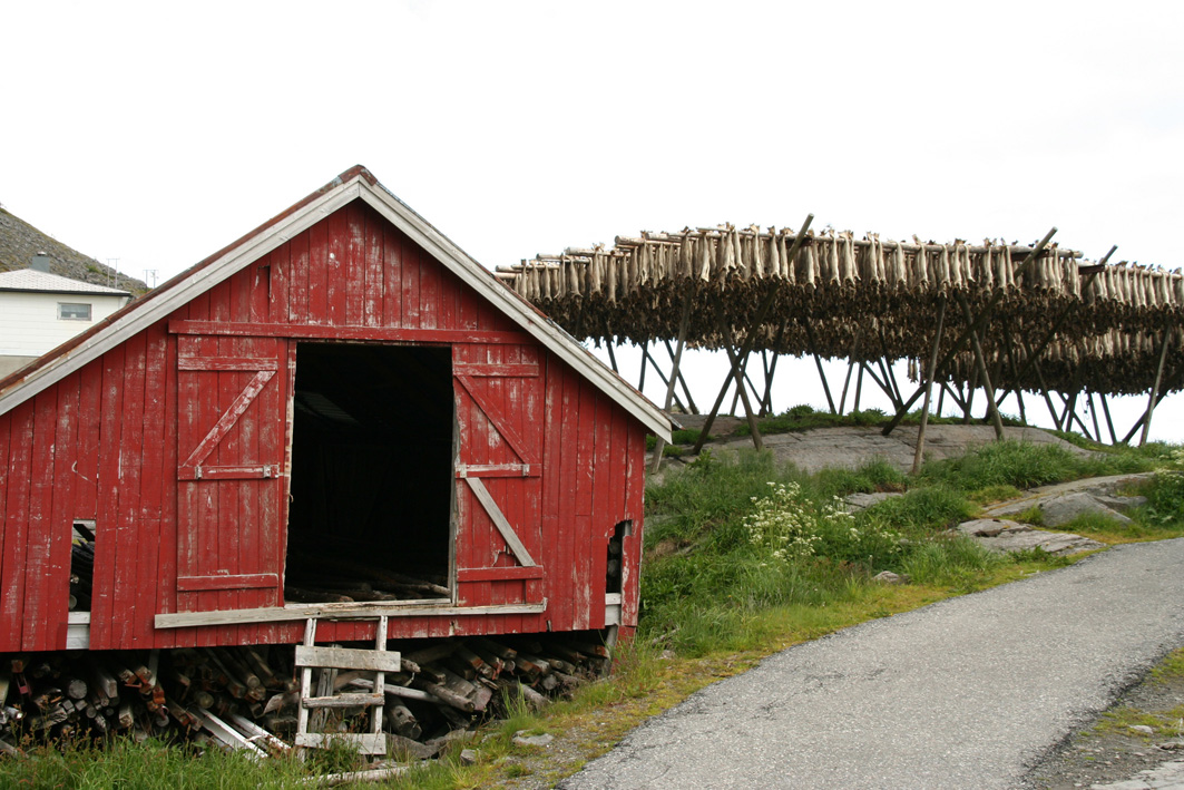  i Lofoten