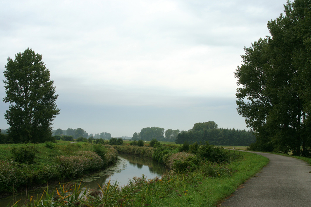 De Nete