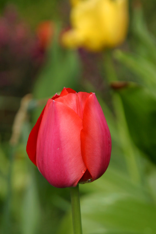 IMG_6570.JPG