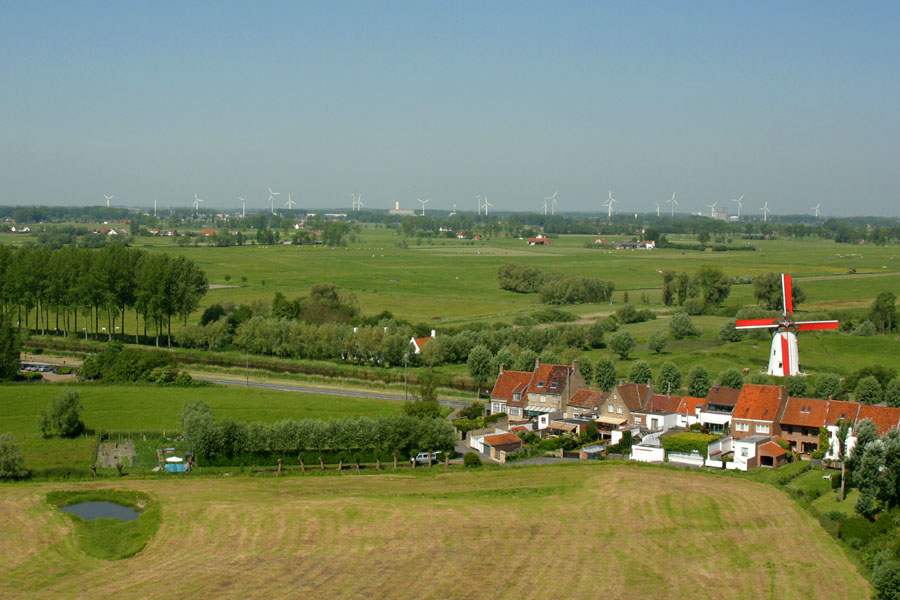 View from the tower