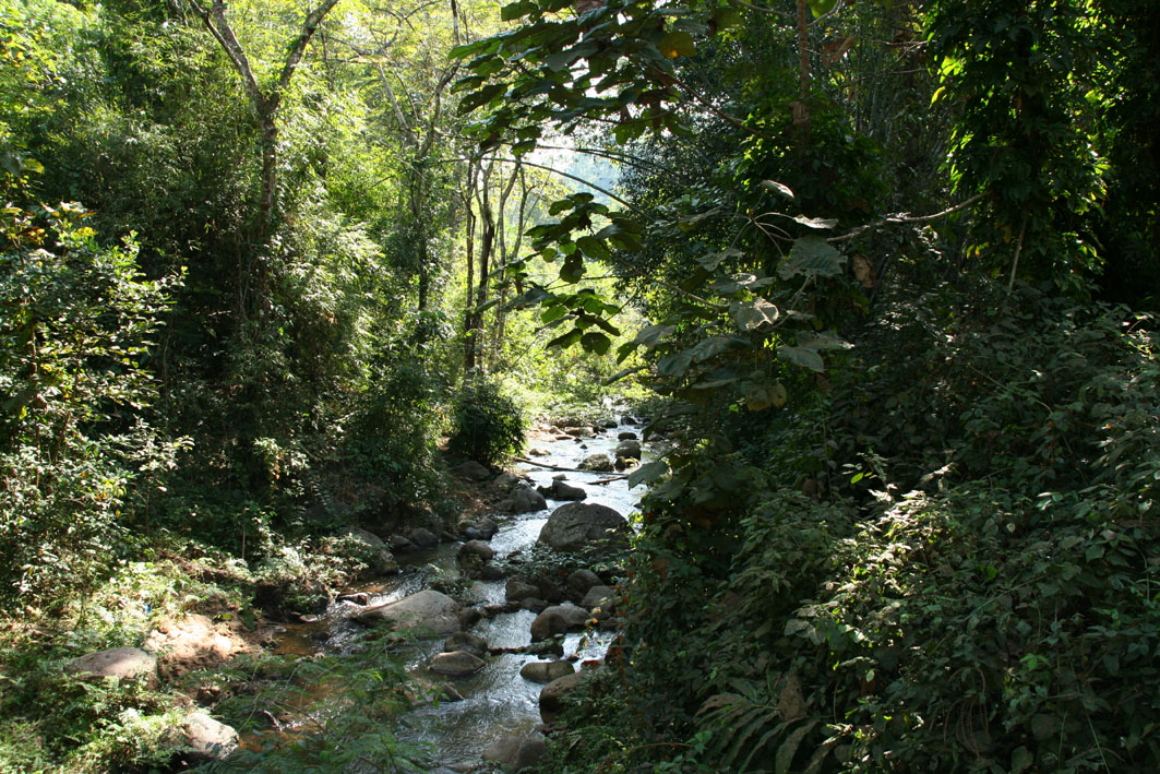 IMG_5536.JPG