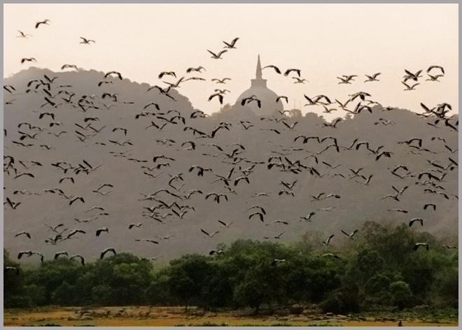Anuradhapura Area of Sri Lanka