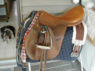 WEB-DSCN2615_6184--Saddle.jpg