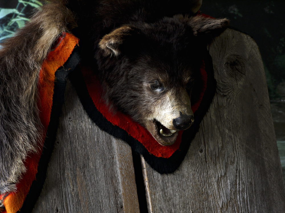 Bearskin, Forks, Washington, 2009