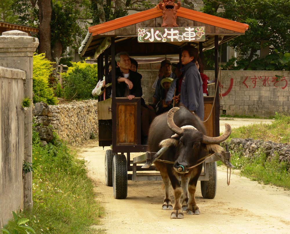 Tourist cart, Taketomi Island, Japan, 2006