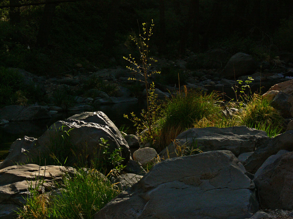 Oak Creek shadows, Sedona, Arizona, 2006