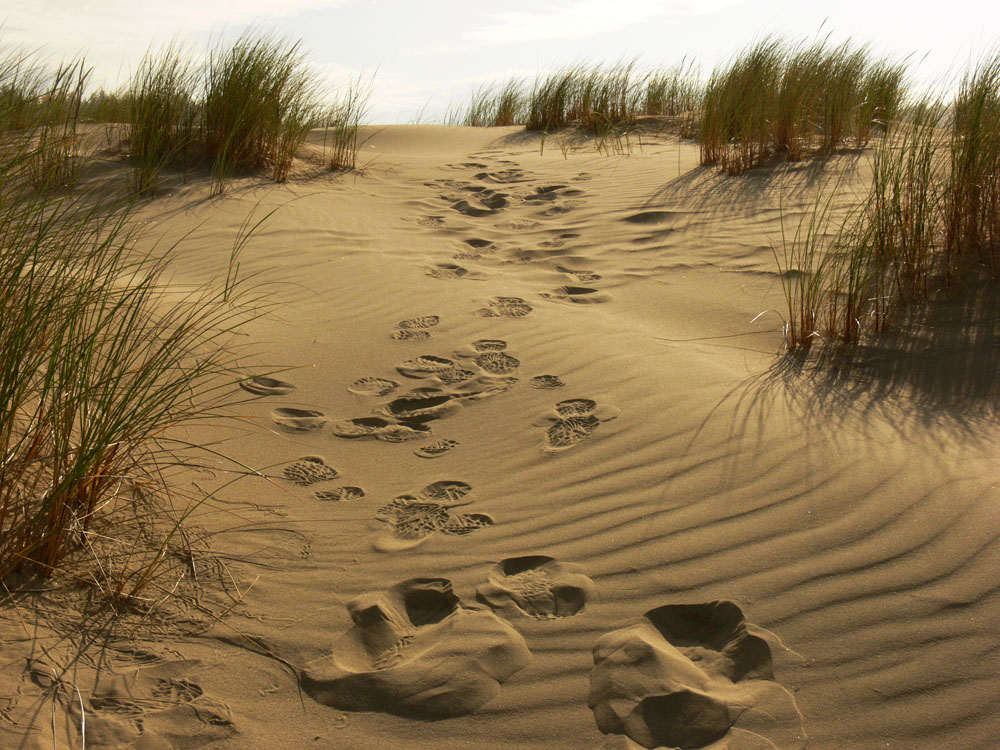 Footprints, Oregon Dunes National Recreation Area, Florence, Oregon, 2006
