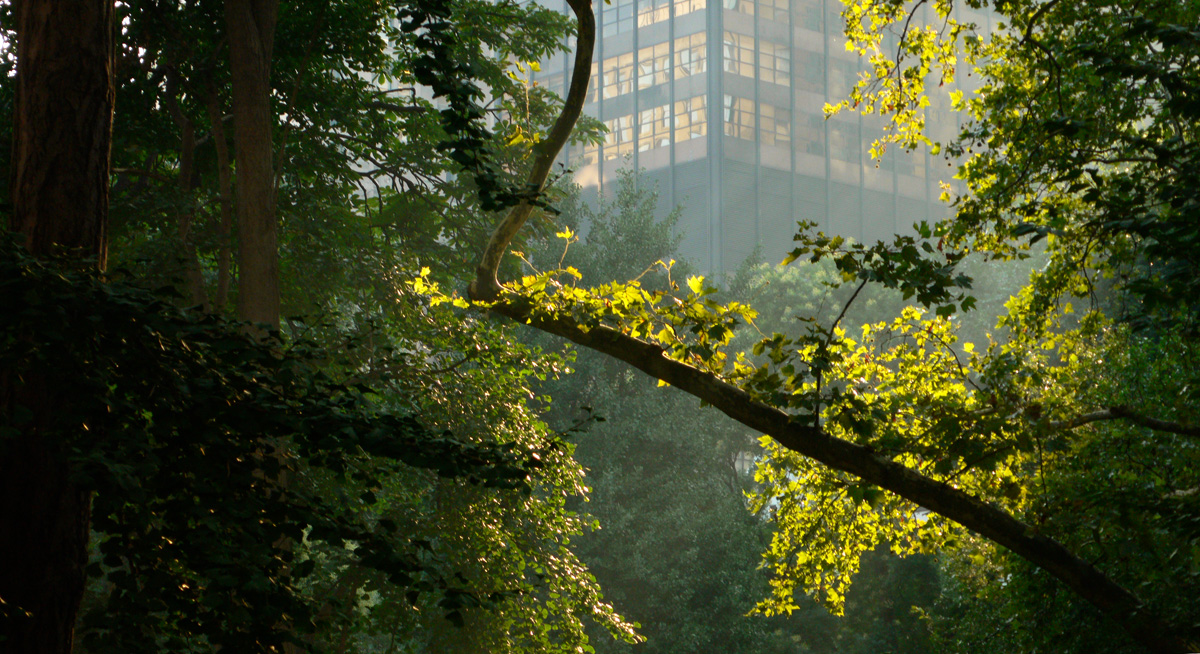 Madison Square Park, New York City, 2006