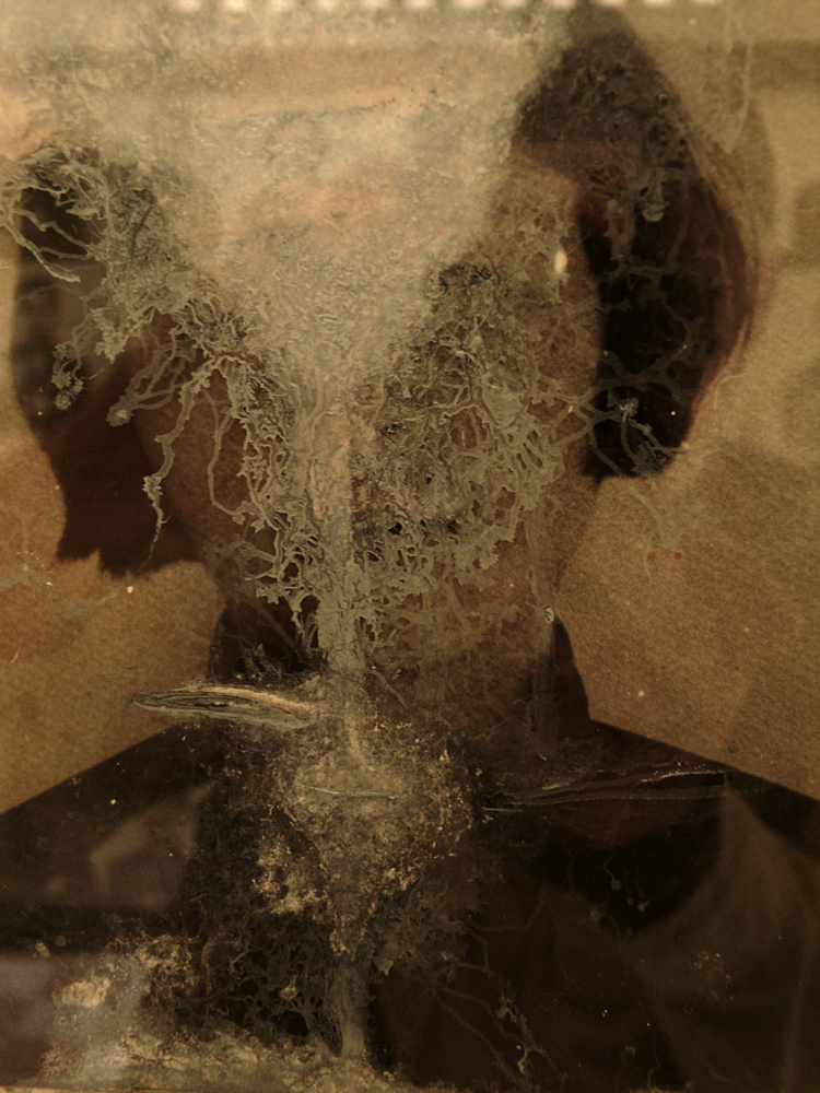 Inmate, Khmer Rouge Security Prison, Phnom Penh, Cambodia, 2008