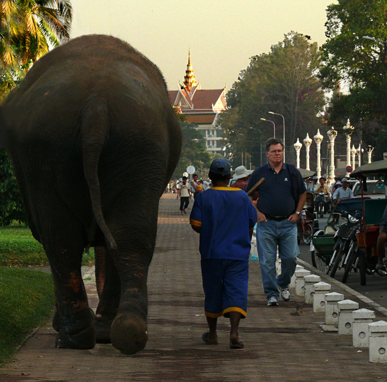 What elephant? Phnom Penh, Cambodia, 2008