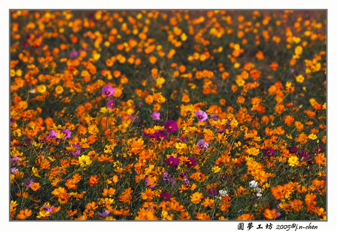 DSC_2861.jpg