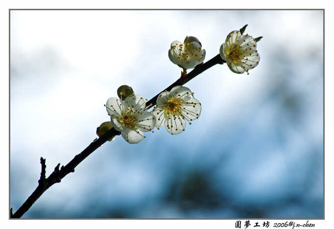 DSC_2982.jpg