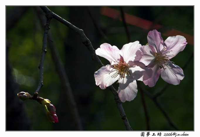 DSC_3192.jpg